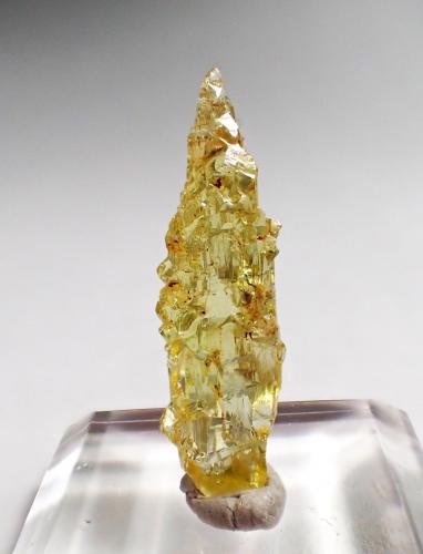 Beryl (variety heliodor)<br />Khoroshiv (Volodarsk-Volynskii), Oblast Zhytomyr, Ucrania<br />31 mm x 9 mm x 8 mm<br /> (Author: Don Lum)