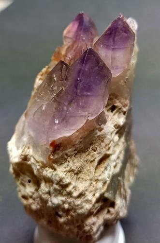 Cuarzo (variedad amatista)<br />Santa Coloma de Farners, Comarca La Selva, Gerona / Girona, Cataluña / Catalunya, España<br />5,5 x 3 cm<br /> (Autor: Frederic Varela)