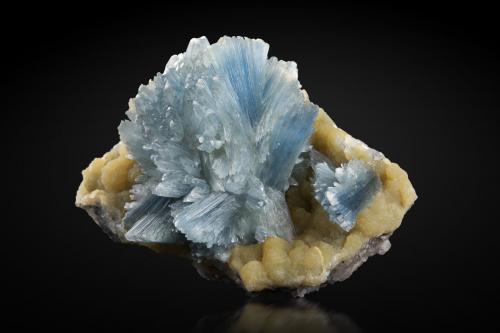 Bobierrite on Collinsite<br />Kovdor Zheleznyi Mine, Kovdor Massif, Kola Peninsula, Murmanskaja Oblast, Northern Region, Russia<br />6.5 x 5 x 3.5 cm / main crystal: 2.0 cm<br /> (Author: MIM Museum)