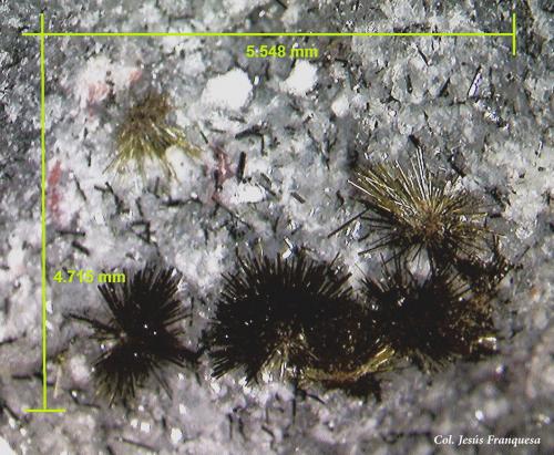 Tuperssuatsiaita<br />Aris Quarries, Aris, Windhoek District, Khomas Region, Namibia<br />5´54 x 4´71 mm.<br /> (Autor: Jesus Franquesa Baucells)