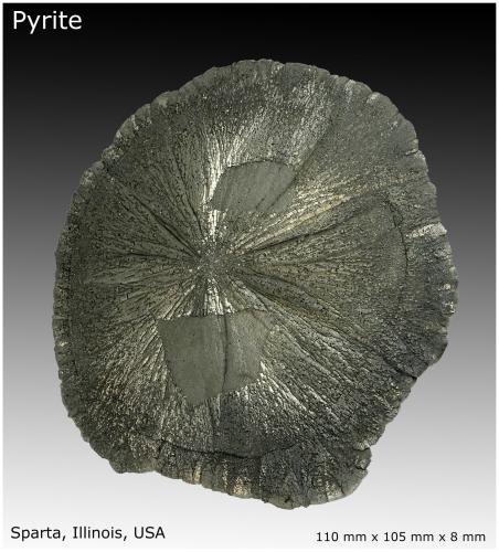 Pyrite<br />Sparta, Condado Randolph, Illinois, USA<br />110 mm x 105 mm x 8 mm<br /> (Author: silvia)