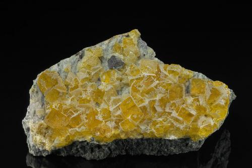 Fluorite, Quartz, Galena<br />Churprinz Friedrich August Erbstolln Mine (Churprinz Mine), Großschirma, Freiberg District, Erzgebirgskreis, Saxony/Sachsen, Germany<br />11.3 x 7.2 cm<br /> (Author: am mizunaka)