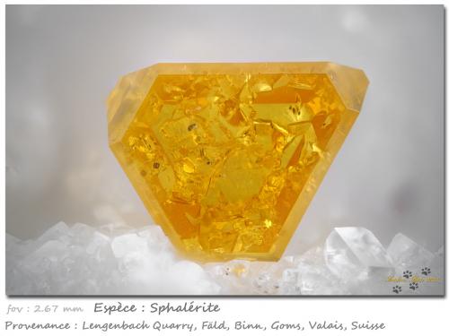 Sphalerite<br />Lengenbach Quarry, Fäld, Binn Valley (Binntal), Wallis (Valais), Switzerland<br />fov 2.67 mm<br /> (Author: ploum)