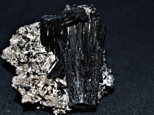 Schorl on Quartz<br />Pegmatita Dara-i-Pech, Distrito Chapa Dara, Provincia Kunar (Konar), Afganistán<br />5x5x3.5 cm''s<br /> (Author: Joseph DOliveira)