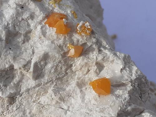 Wulfenite<br />Helena Mine, Crna (Schwarzenbach), Meica Municipality, Carinthia Region, Slovenia<br />11 x 7 cm<br /> (Author: Volkmar Stingl)