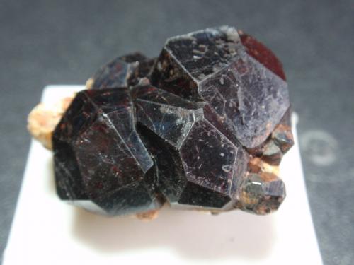 Piropo (Grupo Granate)<br />Antsirabé, Región Vakinankaratra, Madagascar<br />30x20 mm<br /> (Autor: Ignacio)