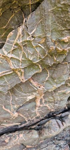 Silurian greywackes<br /><br /><br /> (Author: Forrestblyth)