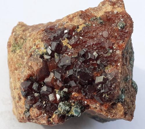 Grossular Garnet (variety Hessonite), Clinochlore<br />Rocca della Marasca, Urbe, Provincia Savona, Liguria, Italia<br />3 x 3 cm<br /> (Author: Volkmar Stingl)