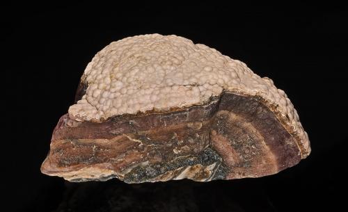 Rhodochrosite<br />Mina Inakuraishi, Furubira, Península Shakotan, Subprefectura Shiribeshi, Hokkaidō, Japón<br /><br /> (Author: am mizunaka)