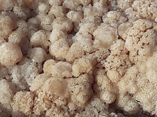 Calcite<br />Kohlwald, Flirsch, Landeck District, North Tyrol, Tyrol/Tirol, Austria<br />7,5 x 6 cm<br /> (Author: Volkmar Stingl)