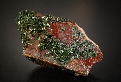 Olivenite<br />Mina Majuba Hill, Distrito Antelope, Condado Pershing, Nevada, USA<br />5.5 x 3.2 x 2.0 cm<br /> (Author: Michael Shaw)