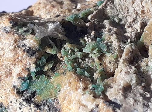 Adamite, Aragonite<br />Silberbergalm, Reith im Alpbachtal!, Distrito Kufstein, Valle Inn, Tirol Norte, Tirol, Austria<br />5,5 x 4 cm<br /> (Author: Volkmar Stingl)
