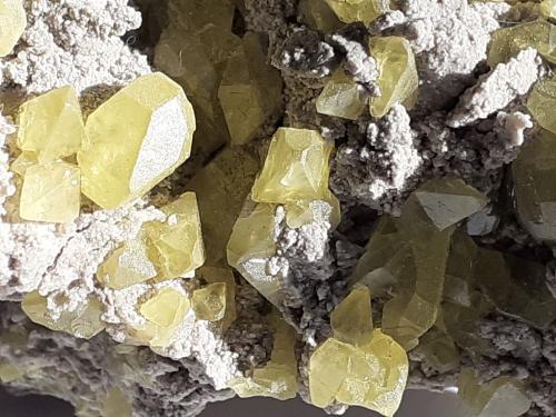 Sulfur<br />Agrigento (Girgenti) Province, Sicily, Italy<br />6 x 4 cm<br /> (Author: Volkmar Stingl)