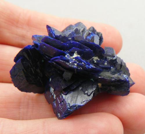Azurite<br />Mine Bleu, Chessy-les-Mines, Les Bois d'Oingt, Villefranche-sur-Saône, Rhône, Auvergne-Rhône-Alpes, France<br />4 x 3.2 x 2.6 cm<br /> (Author: Benj)
