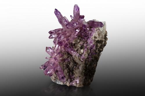 Quartz (variety amethyst)<br />Piedra Parada (Las Vigas), Municipio Tatatila, Veracruz (Veracruz de Ignacio de la Llave), Mexico<br />19 x 16 x 25 cm / main crystal: 8.0 cm<br /> (Author: MIM Museum)