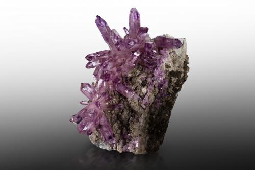 Quartz (variety amethyst)<br />Piedra Parada (Las Vigas), Municipio Tatatila, Veracruz (Veracruz de Ignacio de la Llave), México<br />19 x 16 x 25 cm / main crystal: 8.0 cm<br /> (Author: MIM Museum)