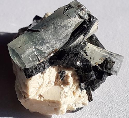 Beryl (variety aquamarine), Tourmaline (variety Schorl), Orthoclase<br />Ameib Farm 60 (Ameib Farm), Usakos, Karibib District, Erongo Region, Namibia<br />2 x 1,5 cm<br /> (Author: Volkmar Stingl)
