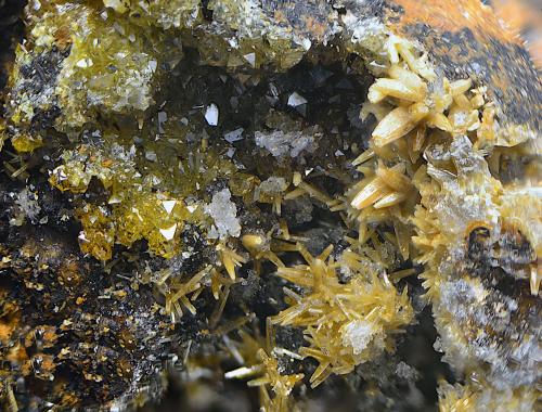 Vanadinita y Descloizita<br />Mina San Francisco (antigua mina Pura), Higuera de Llerena, Comarca Campiña Sur, Badajoz, Extremadura, España<br />Campo de visión de 5 mm.<br /> (Autor: Antonio Carmona)