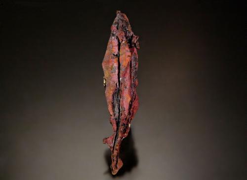 Copper<br />Chino Mine, Santa Rita, Santa Rita District, Grant County, New Mexico, USA<br />4.1 x 1.2 cm<br /> (Author: Michael Shaw)
