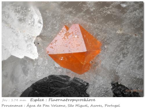 Fluornatropyrochlore<br />Volcán Água de Pau, Água de Pau, Municipio Lagoa, Isla San Miguel, Región Autónoma de las Azores, Portugal<br />fov 1.74 mm<br /> (Author: ploum)