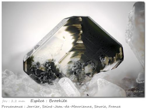 Brookite<br />Jarrier, Saint-Jean-de-Maurienne, Saboya, Auvergne-Rhône-Alpes, Francia<br />fov 2.2 mm<br /> (Author: ploum)