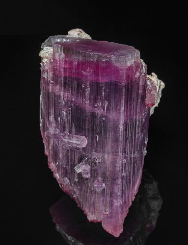 Tourmaline<br />Tourmaline King Mine, Pala, Pala District, San Diego County, California, USA<br />10.4 x 6.0 cm<br /> (Author: am mizunaka)