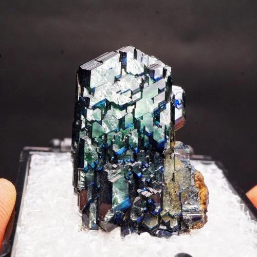 Vivianite<br />Mina Morococala, Distrito minero Santa Fe, Provincia Dalence, Departamento Oruro, Bolivia<br /><br /> (Author: xdxucn)