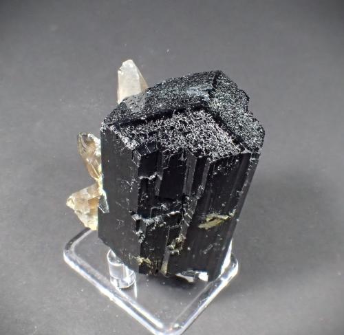 Schorl (Tourmaline Group), Quartz (variety smoky quartz)<br />Erongo Mountain, Usakos, Erongo Region, Namibia<br />65 mm x 62 mm x 42 mm<br /> (Author: Don Lum)