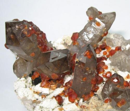 Spessartine, quartz
Lechang Mine, Lechang, Shaoguan, Guangdong, China
125 mm x 68 mm

Close-up view (Author: Carles Millan)