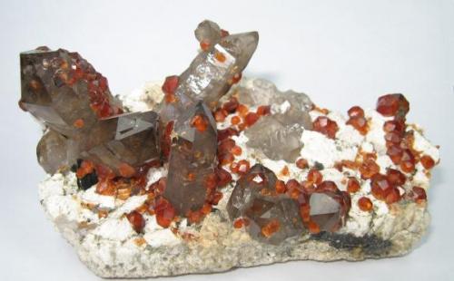 Spessartine, quartz
Lechang Mine, Lechang, Shaoguan, Guangdong, China
125 mm x 68 mm (Author: Carles Millan)