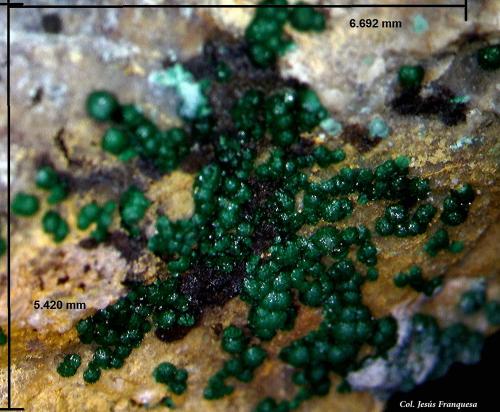 Goldhillita.<br />Mina Trípoli, Barranco del Cura, Huércal de Almería, Comarca Metropolitana de Almería, Almería, Andalucía, España<br />6´69 x 5´42 mm.<br /> (Autor: Jesus Franquesa Baucells)