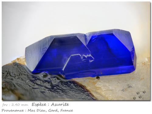 Azurite<br />Mas Dieu, Mercoirol, Alès, Gard, Occitanie, France<br />fov 2.40 mm<br /> (Author: ploum)