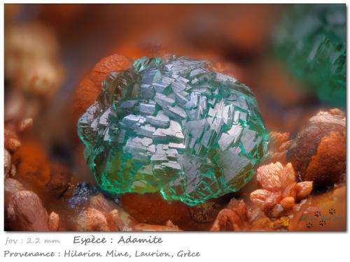 Adamite<br />Hilarion Mine, Hilarion area, Kamariza Mines, Agios Konstantinos, Lavrion Mining District, Attikí (Attica) Prefecture, Greece<br />fov 2.2 mm<br /> (Author: ploum)