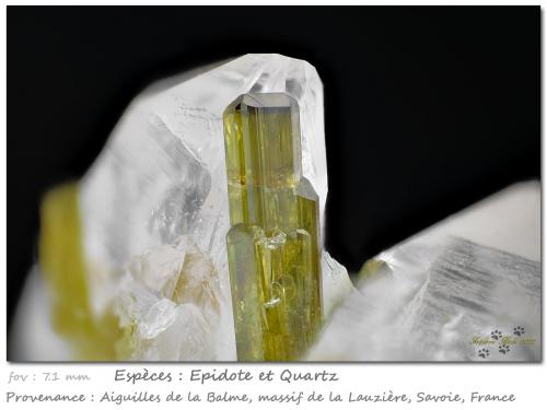 Epidote<br />Vallon de la Valette, Macizo La Lauzière, Saint-Jean-de-Maurienne, Saboya, Auvergne-Rhône-Alpes, Francia<br />fov 7.1 mm<br /> (Author: ploum)