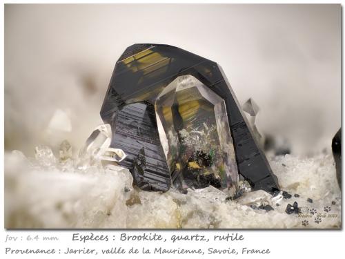 Brookite with Quartz and Rutile<br />Jarrier, Saint-Jean-de-Maurienne, Savoie, Auvergne-Rhône-Alpes, France<br />fov 6.4 mm<br /> (Author: ploum)