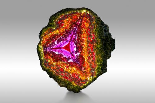 Fluor-liddicoatite<br />Fianarantsoa Province, Madagascar<br />22.5 x 21 cm<br /> (Author: MIM Museum)