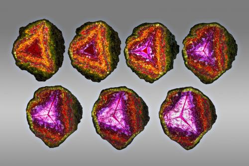 Fluor-liddicoatite<br />Fianarantsoa Province, Madagascar<br />22.5 x 21 cm<br /> (Author: MIM Museum)