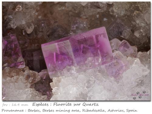 Fluorite<br />Zona minera de Berbes, Berbes, Ribadesella, Comarca Oriente, Principado de Asturias (Asturias), España<br />fov 16 mm<br /> (Author: ploum)