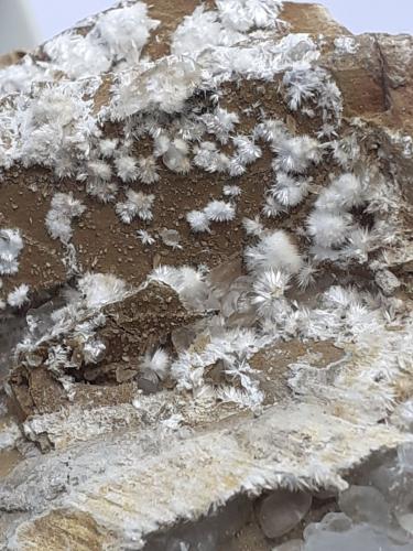 Dawsonite<br />Morone Mine (Selvena Mine), Amiata Mountain, Castell'Azzara, Grosseto Province, Tuscany, Italy<br />9 x 5,5 cm<br /> (Author: Volkmar Stingl)