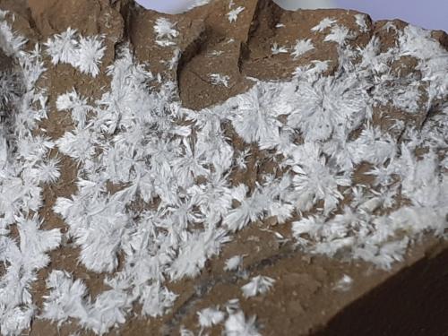 Dawsonite<br />Mina Morone (Mina Selvena), Monte Amiata, Castell'Azzara, Provincia Grosseto, Toscana, Italia<br />9 x 5,5 cm<br /> (Author: Volkmar Stingl)