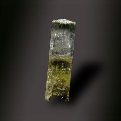 Elbaite<br />Padrón River, Estepona, Comarca Costa del Sol Occidental, Málaga, Andalusia, Spain<br />3 mm x 12 mm x 3 mm<br /> (Author: Firmo Espinar)