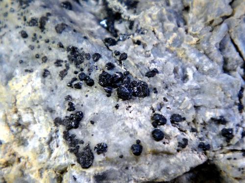 Hipercinabrio<br />Mina Mount Diablo, Mount Diablo, Parque Estatal Mount Diablo, Clayton, Condado Contra Costa, California, USA<br />Campo de visión 3 cm.<br /> (Autor: Antonio P. López)