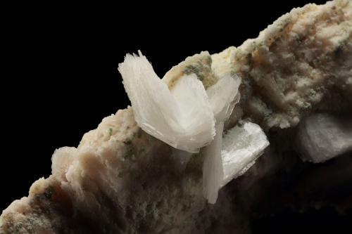 Bertrandite on Orthoclase<br />Pegmatita Golconda, Governador Valadares, Vale do Rio Doce, Minas Gerais, Brasil<br />9 x 8 x 21 cm / main crystal: 4.1 cm<br /> (Author: MIM Museum)