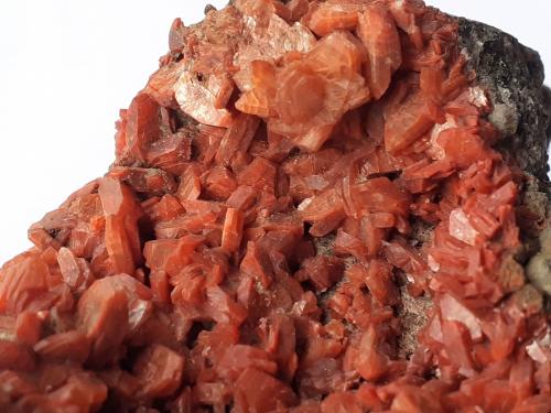 Heulandite<br />Drio le Pale, Buffaure, Moena, Provincia Trento, Trentino-Alto Adige (Trentino-Südtirol), Italia<br />8 x 6 cm<br /> (Author: Volkmar Stingl)