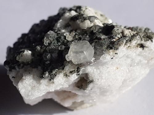 Phenakite<br />Mount Antero, Condado Chaffee, Colorado, USA<br />2,5 x 2 cm<br /> (Author: Volkmar Stingl)
