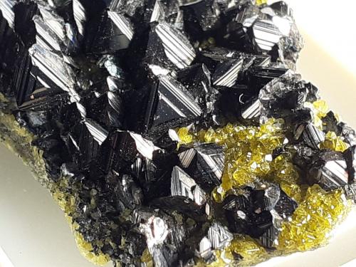 Magnetite, Epidote<br />Khogyani District, Nangarhar Province, Afghanistan<br />2,5 x 2 cm<br /> (Author: Volkmar Stingl)