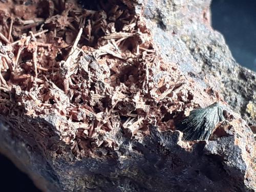 Parasymplesite<br />Mina Veta Negra, Distrito Pampa Larga, Tierra Amarilla, Provincia Copiapó, Región Atacama, Chile<br />5 x 2,5 cm<br /> (Author: Volkmar Stingl)