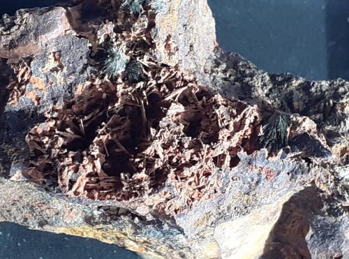 Parasymplesite<br />Veta Negra Mine, Pampa Larga district, Tierra Amarilla, Copiapó Province, Atacama Region, Chile<br />5 x 2,5 cm<br /> (Author: Volkmar Stingl)