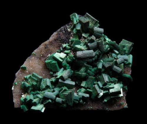 Torbernite,Margabal France 5cm (Author: parfaitelumiere)