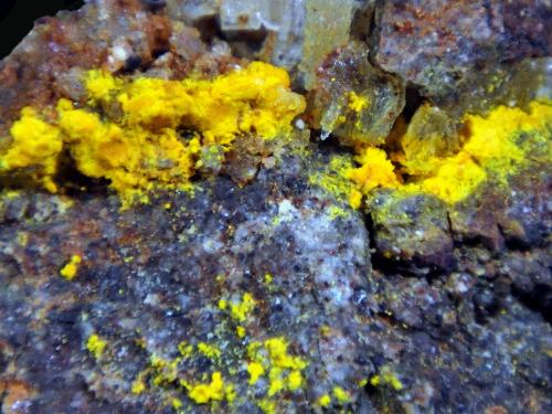Cadwaladerita<br />Mina Victoria Segunda, Cerros Pintados, Salar de Pintados, Provincia Tamarugal, Región Tarapacá, Chile<br />Campo de visión 2 cm.<br /> (Autor: Antonio P. López)